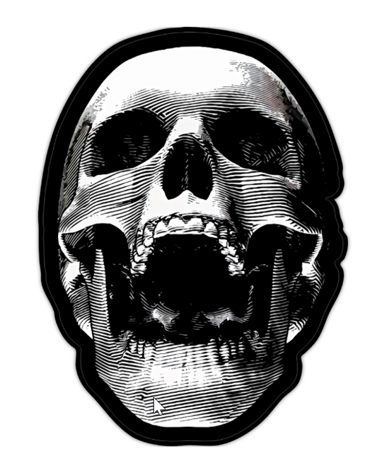 THREEBEERHONESTY Skull (Die Cut Sticker Large)